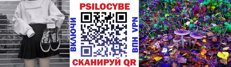 Галлюциногенные грибы Psilocybine cubensis  сколько стоит  Фатеж 